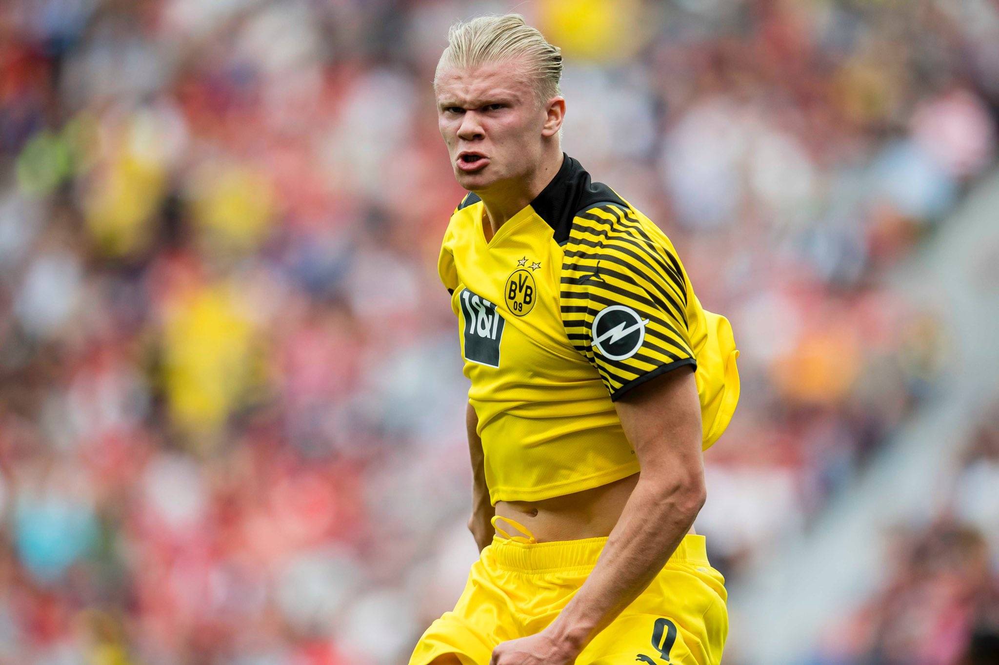 另一方面 另一方面