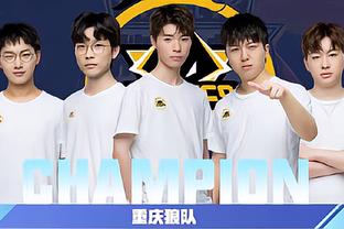 样提示了一